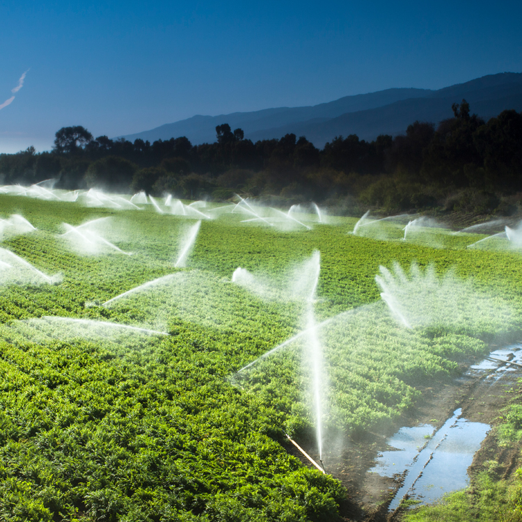 An aerial view of crops being irrigated with woods and a mountain in the background.