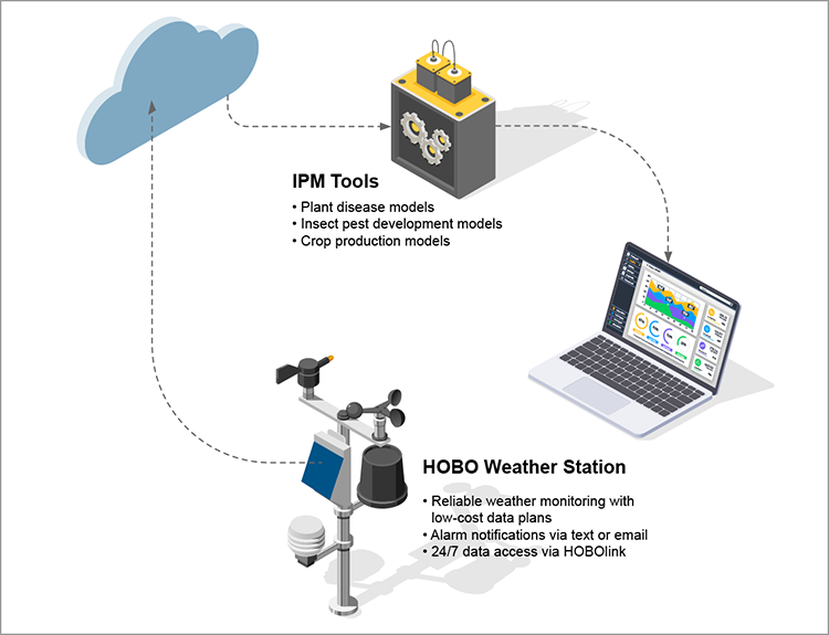 Graphic showing how HOBOlink cloud-based software integrates HOBO weather stations and sensors data to analysis tools like NEWA's analysis software