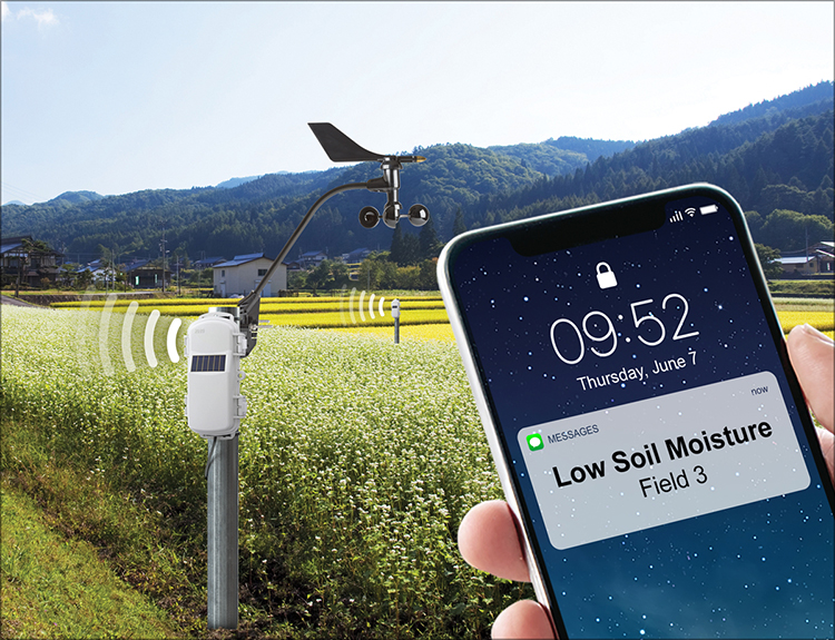 HOBOlink monitoring software connects to mobile phone in field with remote monitoring station