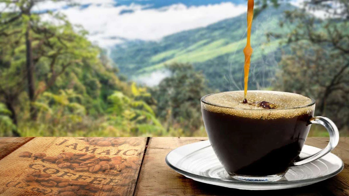 coffee pouring into cup with mountains in background