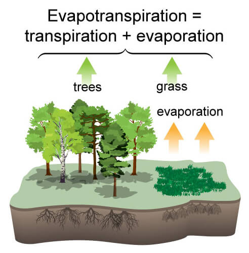 evapotranspiration3