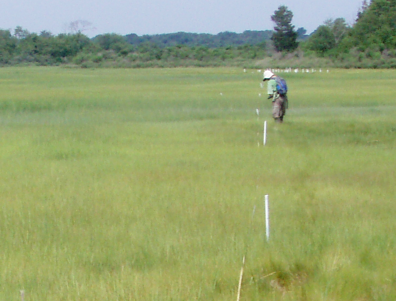 Narragansett20National20Research20application%20photo