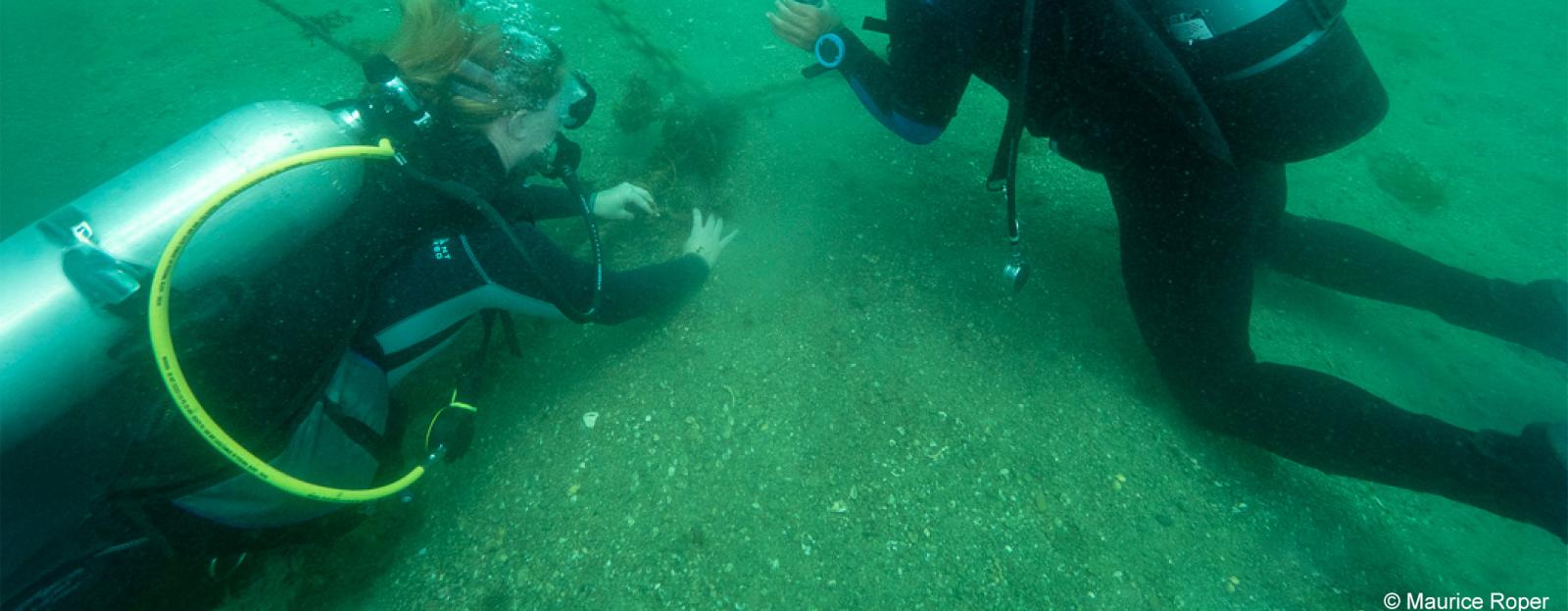 Two divers on ocean floor
