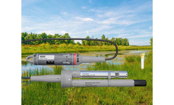 HOBO Bluetooth water logger with cable connecting two sensors by well in a marsh 