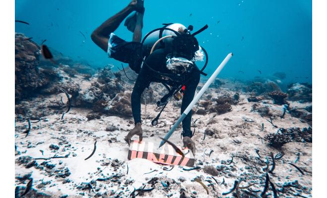 Scuba diver deploying a tilt meter data logger to measure current