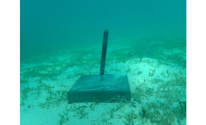 Lowell Instruments shallow water current meter on sandy bottom underwater
