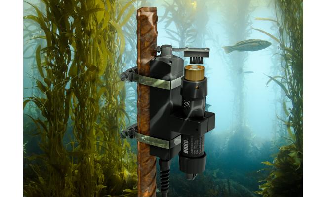 HOBO MX2502 in a Kelp Forest