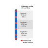 Gropoint 45cm segment probe diagram