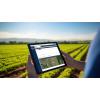 Farmer looking at data monitoring crops