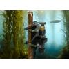 HOBO MX2502 in a Kelp Forest