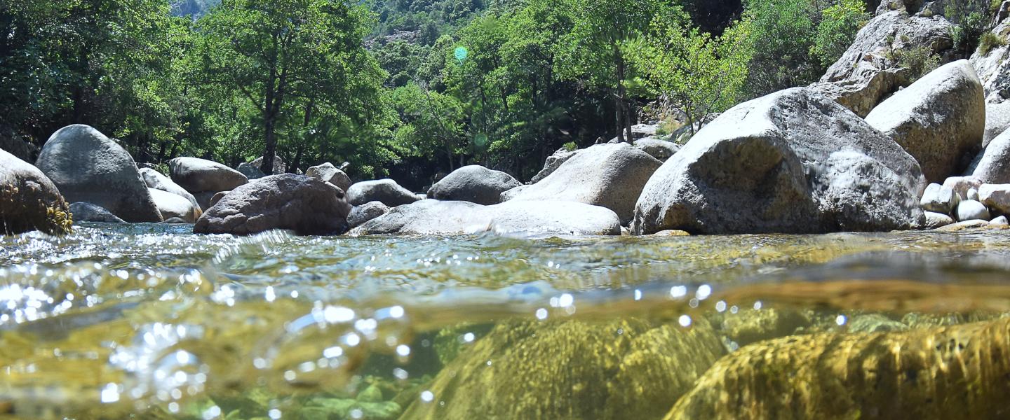 Close-up, eye-level view of the water's surface on a river