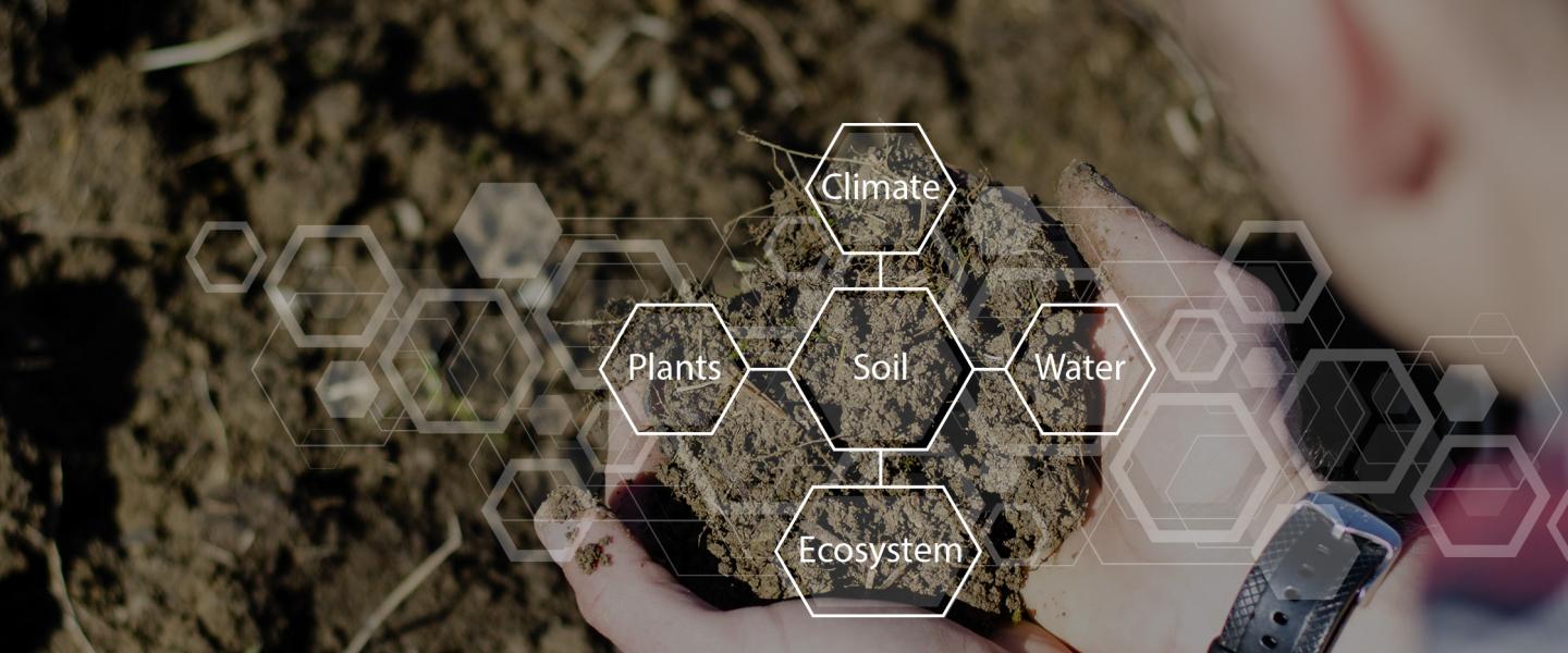 Image of hand in soil with diagram with the word SOIL in the center, communicates how monitoring soil conditions plays a central role for water, plants, climate and ecosystems health