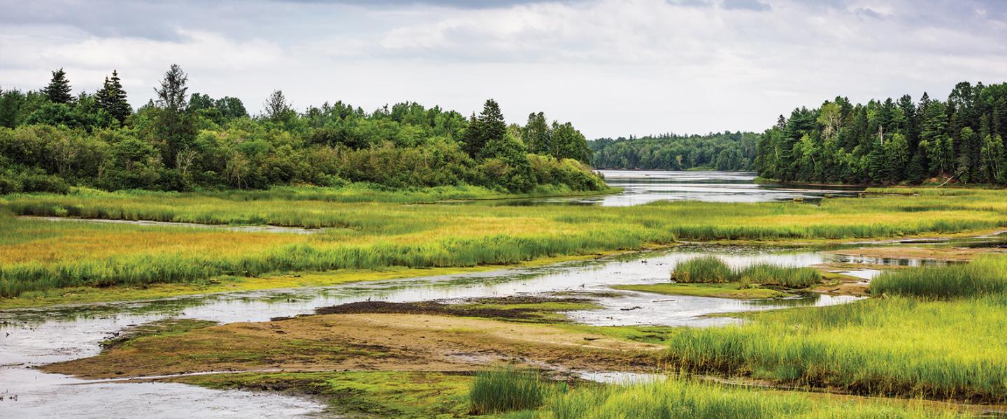 River running through a marsh with the outlet in the distance