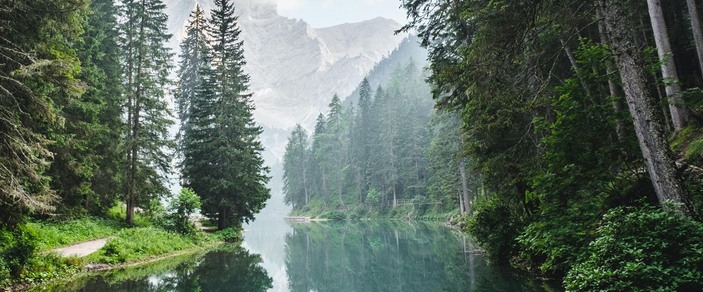 River running through a forest in the mountains