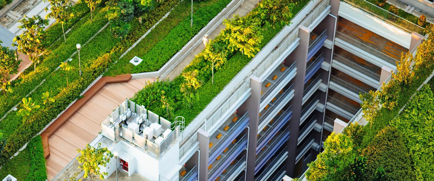 Urban green roofs shown are used to combat heat island effect