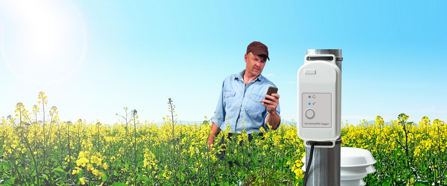 Farmer holding a phone while gathering data from Onset's HOBO MX2300 Soil Moister data logger