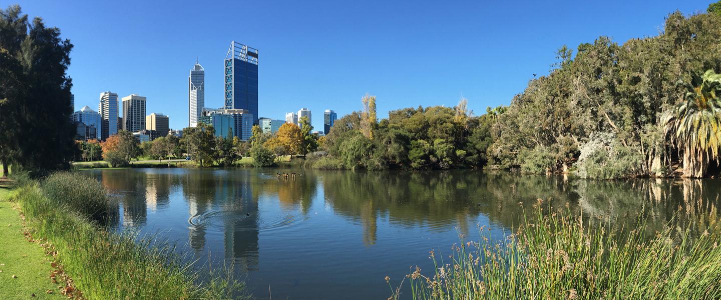 A lake, surrounded by trees with a city in the background