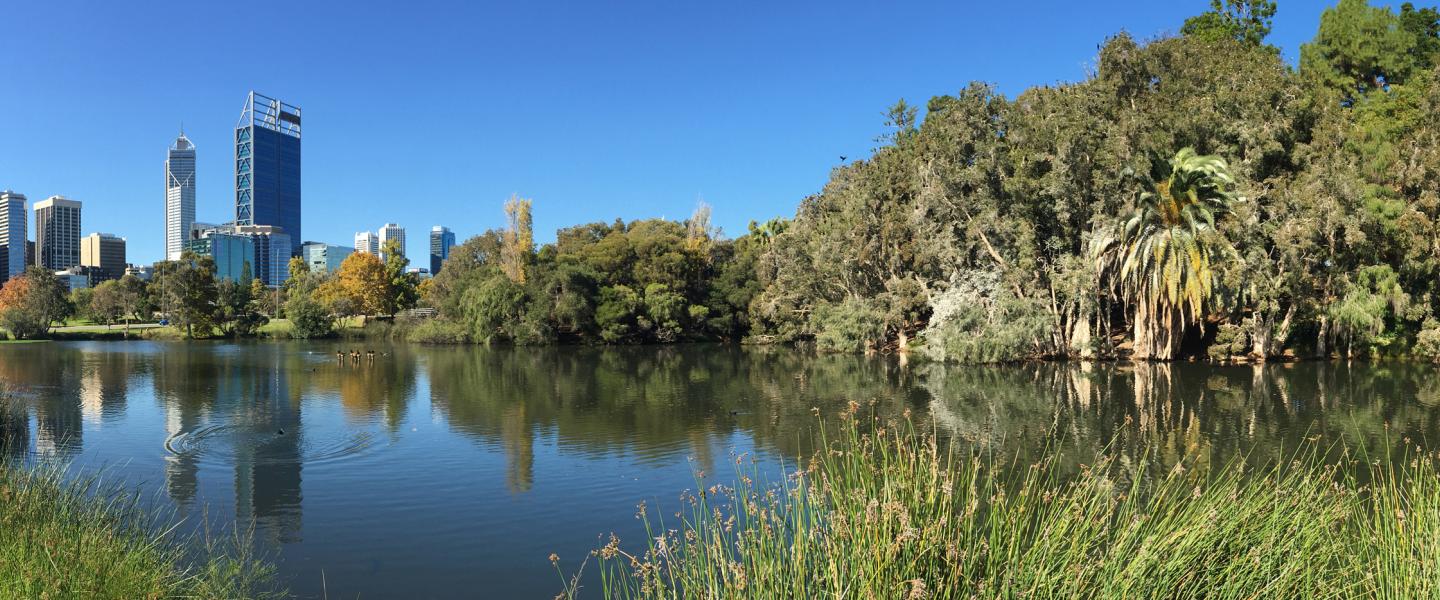 pond in foreground with urban landscape in distance reminds of importance of water quality monitoring