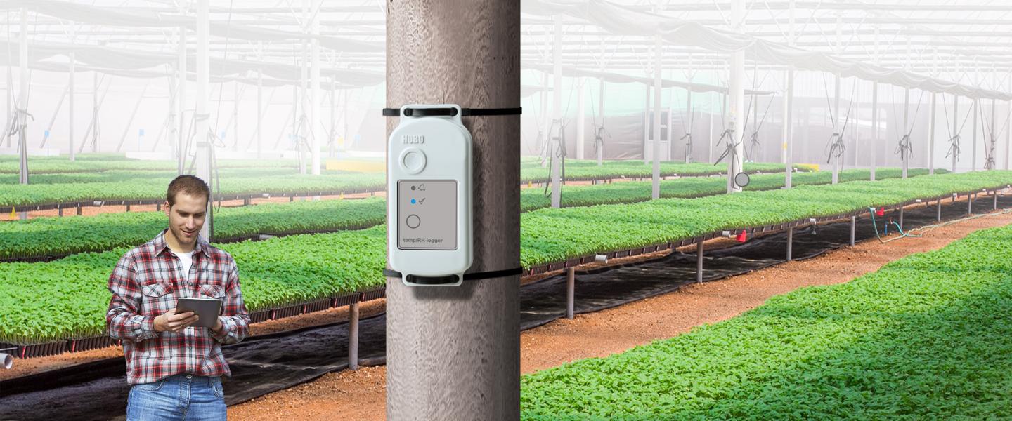 Farmer pulling data from an MX2301A Data Logger in a Greenhouse