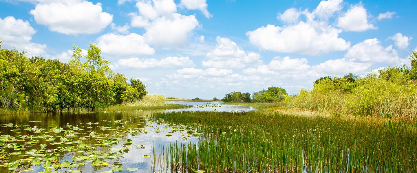 Understanding Wetland Water Movement