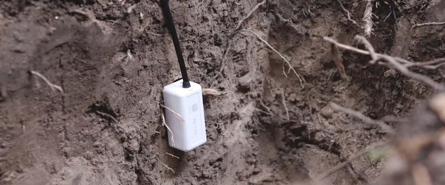 HERO MX Soil Moisture Logger