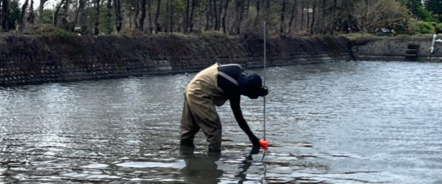 Researcher deploying data logger in aquaculture fish pond