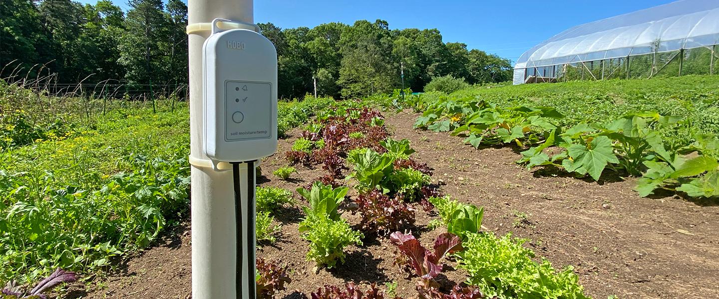MX2307 on small farm