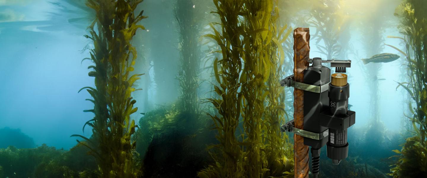 MX2502 in kelp bed monitors photosynthetically active radiation