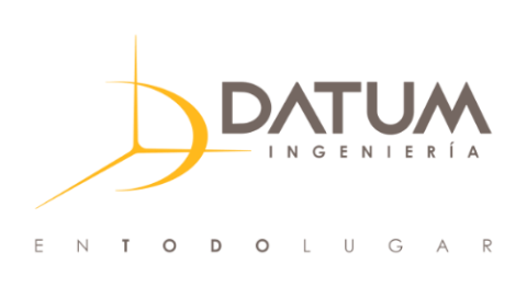 Datum Ing logo