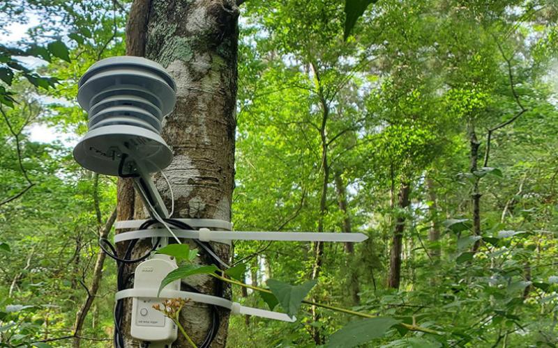 Cooling Study uses data loggers to monitor climate change