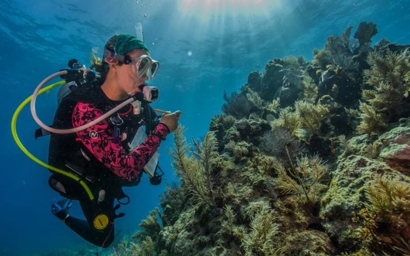 Sosa at work studying the coral reef