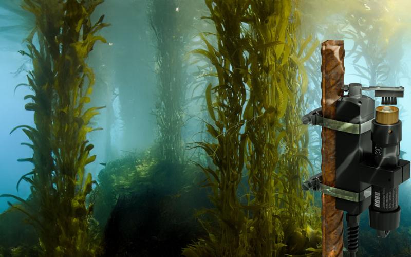MX2502 in kelp bed monitors photosynthetically active radiation