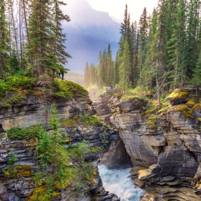 A view of a forest in a craggy, mountainous area.