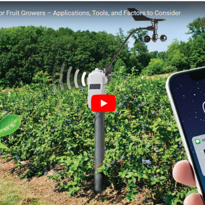 Video for fruit growers how to install wireless sensor network
