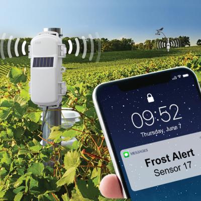 HOBOnet Frost alert