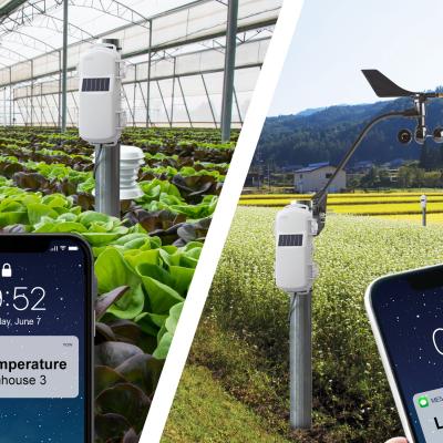 HOBOnet Wireless Farmland and Greenhouse