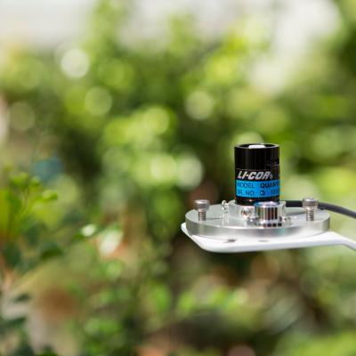 LI-COR LI-190R Quantum Light Sensor in greenhouse