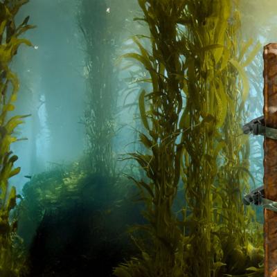 MX2502 in kelp bed monitors photosynthetically active radiation