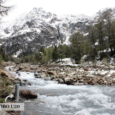 HOBO Data Logger in Mountain Creek