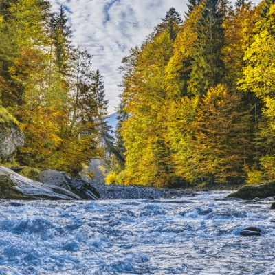 river lined by green trees with mountain in distance